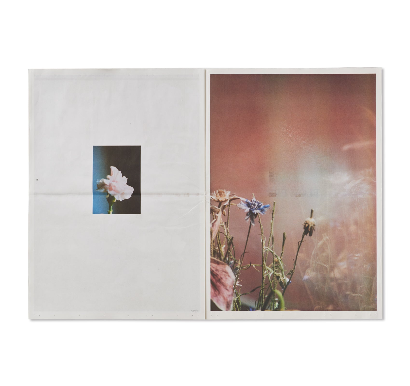 FLOWERS by Lina Scheynius – twelvebooks