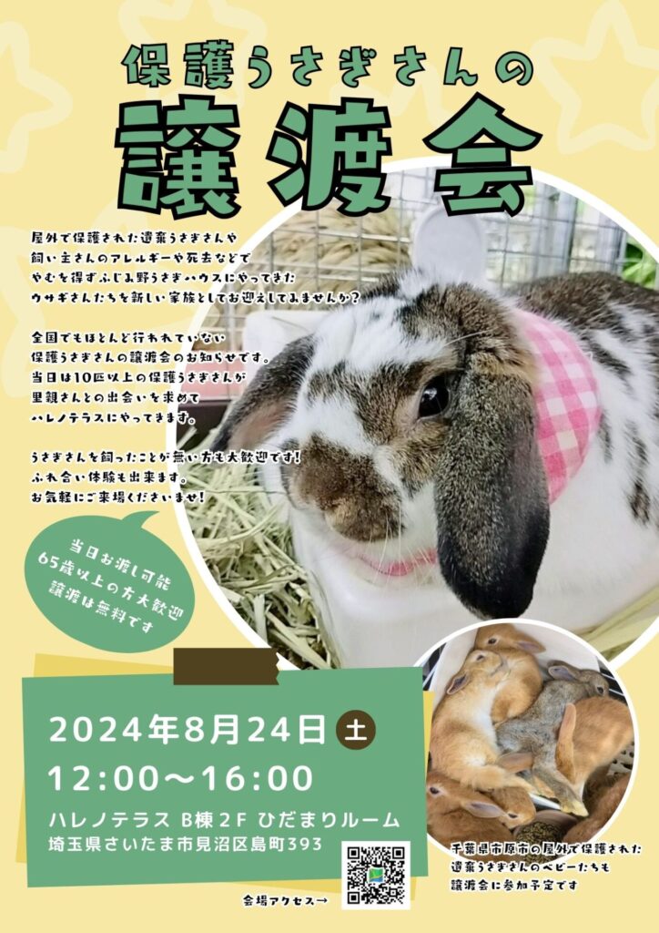 8/24 保護うさぎさん譲渡会 in ハレノテラス – ふじみ野うさぎハウス