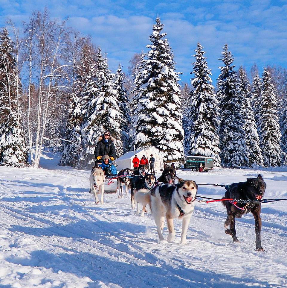 Paws for Adventure | Fairbanks Dog Sledding & Multi-Day… | ALASKA.ORG