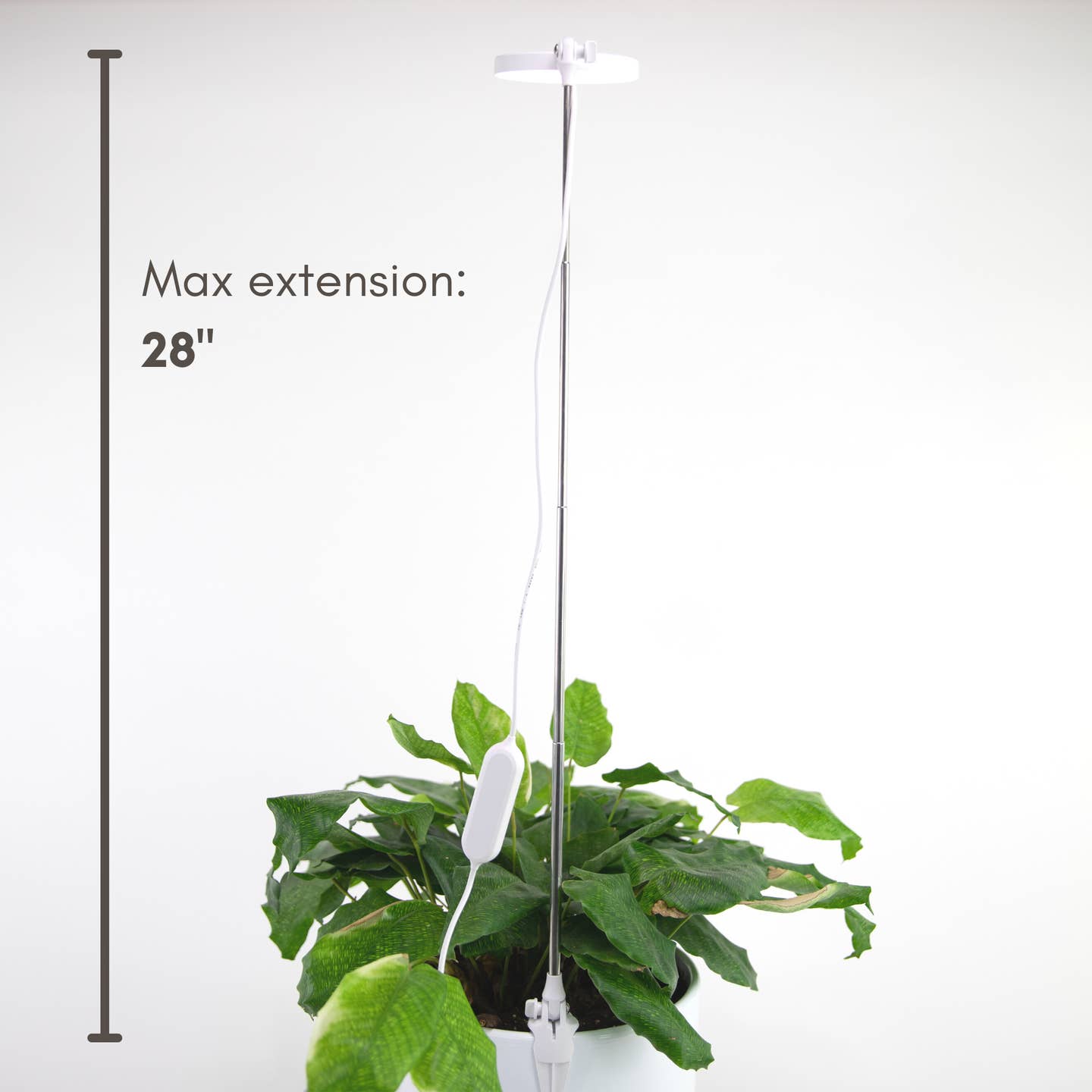 LED Plant Light – Full Spectrum Grow Light for Indoor Plants