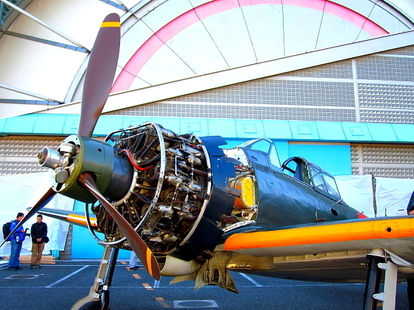 img_4b6270828120786d3b6e778114