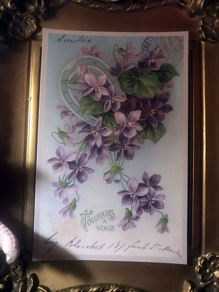 フランス トゥールーズ(ヴィオレット) すみれ ポストカード淑女雑貨Toe