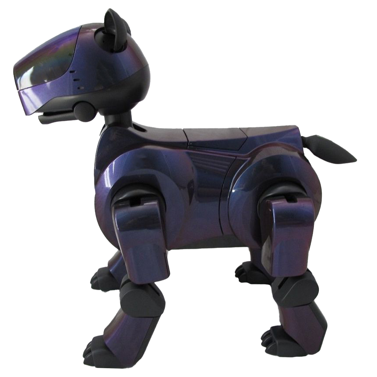 ERS-210 Aibo Overview | Learn About Aibo | Virtual Paws