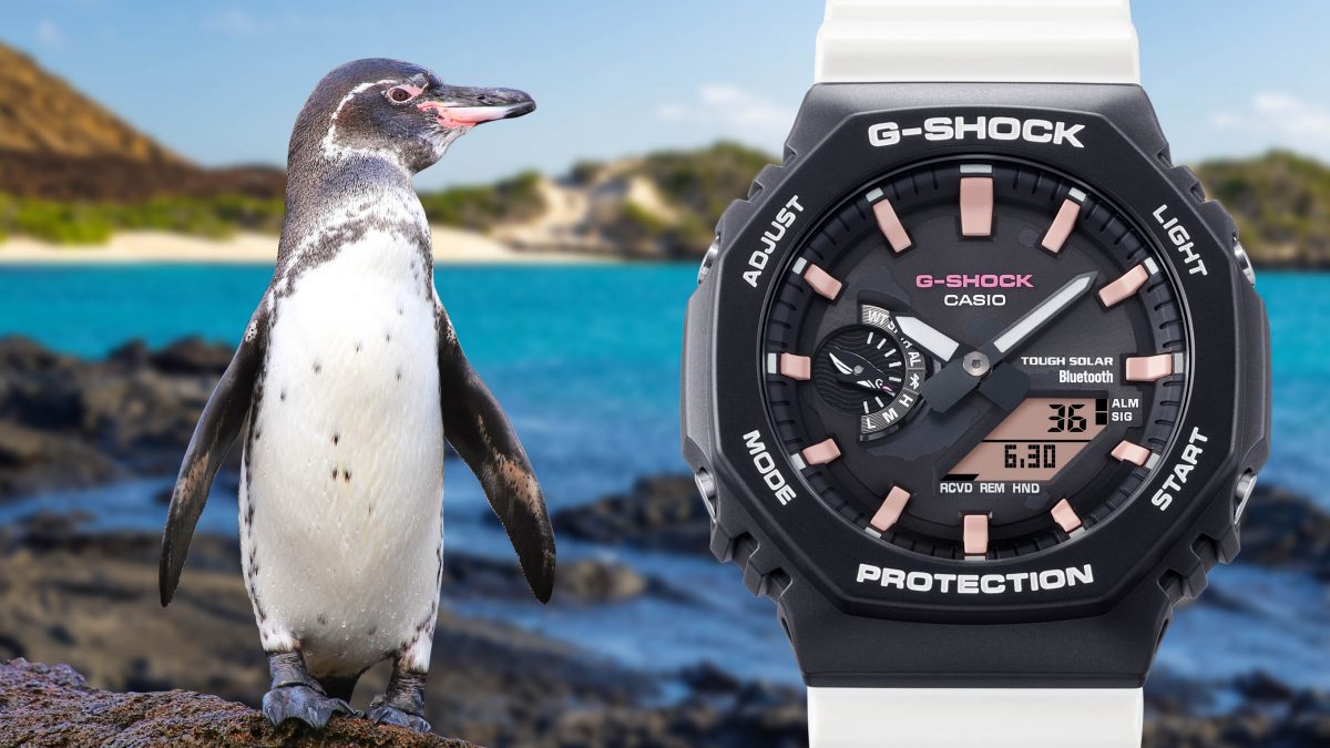 G-SHOCK】イグアナやペンギンが文字盤に！チャールズ・ダーウィン財団