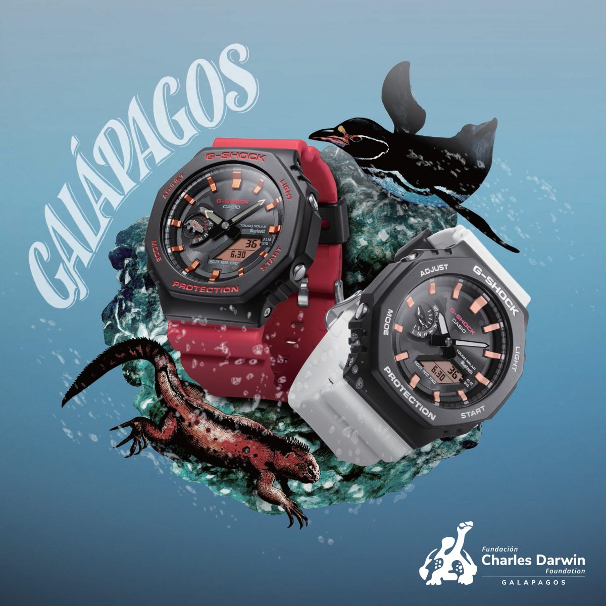 G-SHOCK】イグアナやペンギンが文字盤に！チャールズ・ダーウィン財団