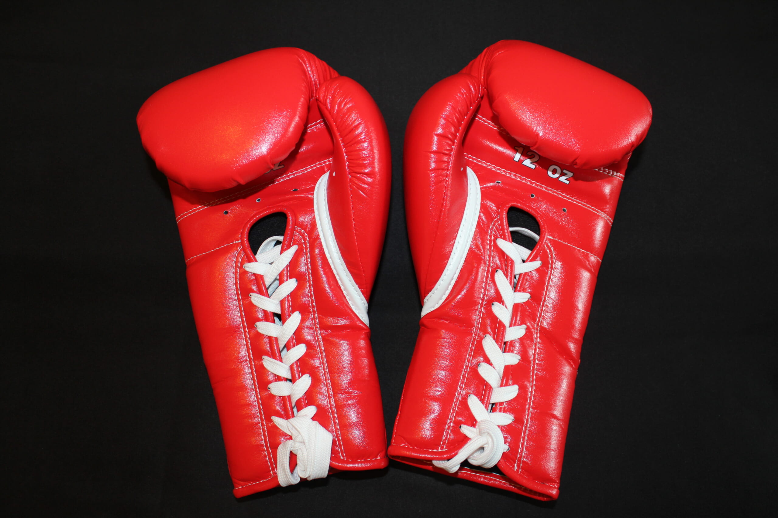 WIN-BOXING/WBG-H008/ボクシンググローブ（12OZ） | ウィンボクシング