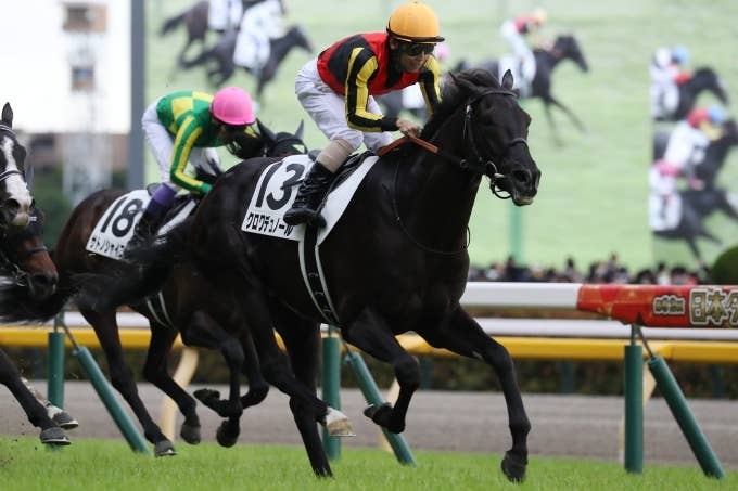 クロワデュノール（Croix du Nord） | 競馬データベース | JRA-VAN