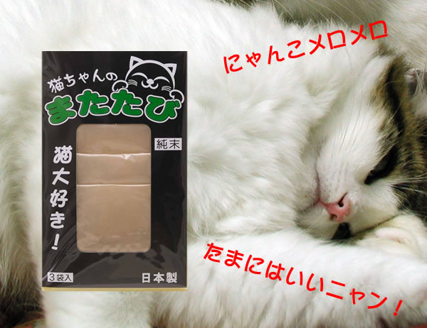 猫ちゃんのまたたび～反応抜群！！0.5g×3袋入り ( サプリ／ミルク／猫