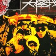 大怪我 / /大神 レコード通販COCOBEAT RECORDS