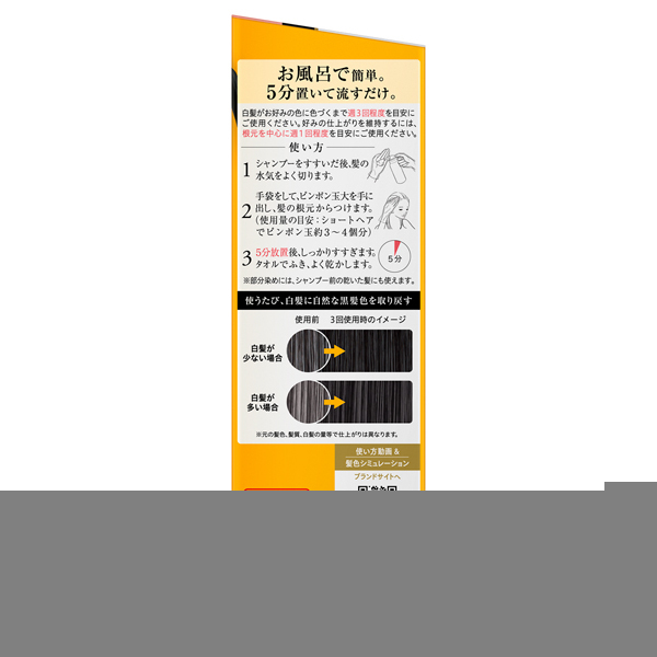 白髪用髪色サーバー リ・ブラック ふんわり仕上げ / ブローネ(白髪染め