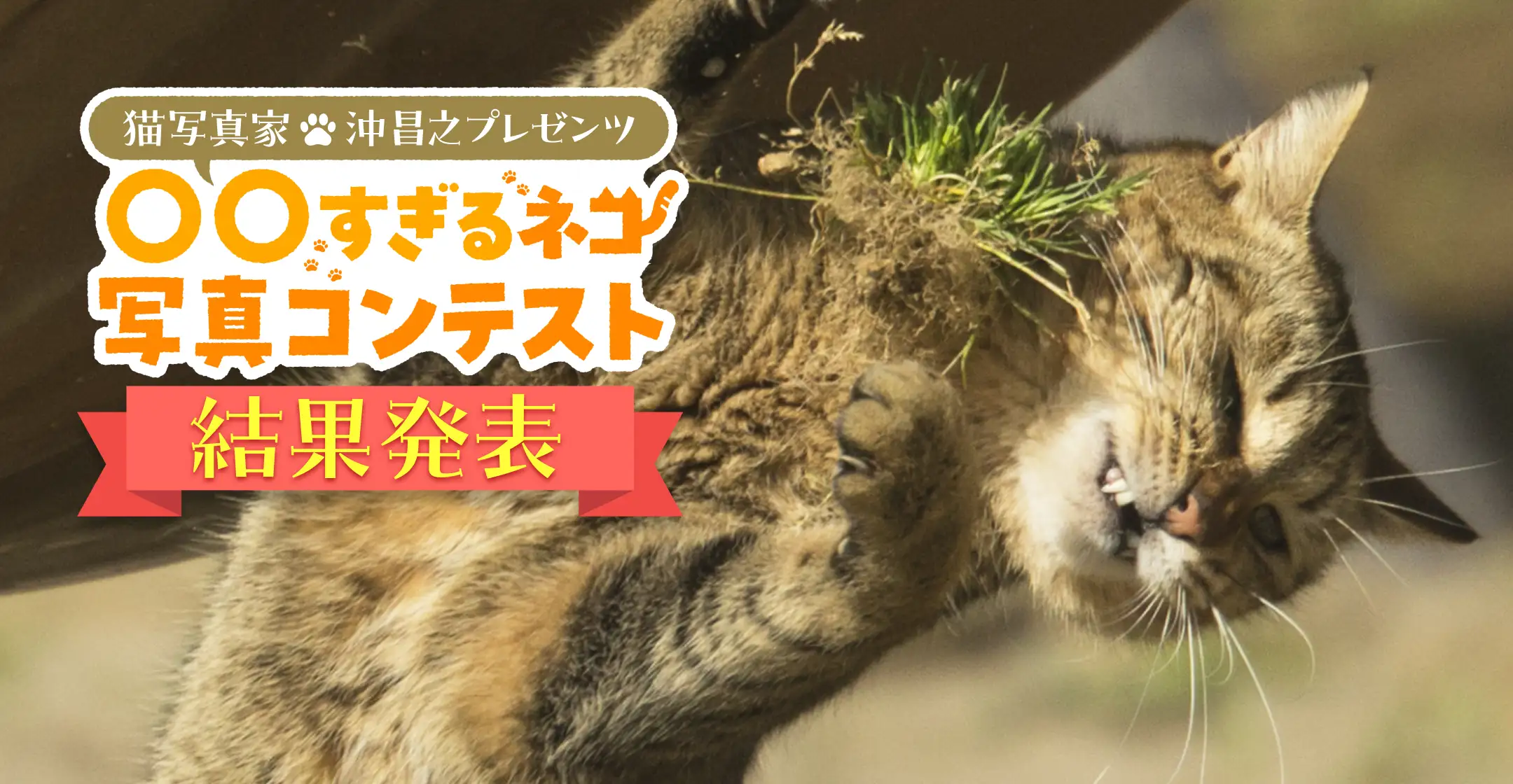 通販生活®【公式】カタログハウス『通販生活』公式サイト
