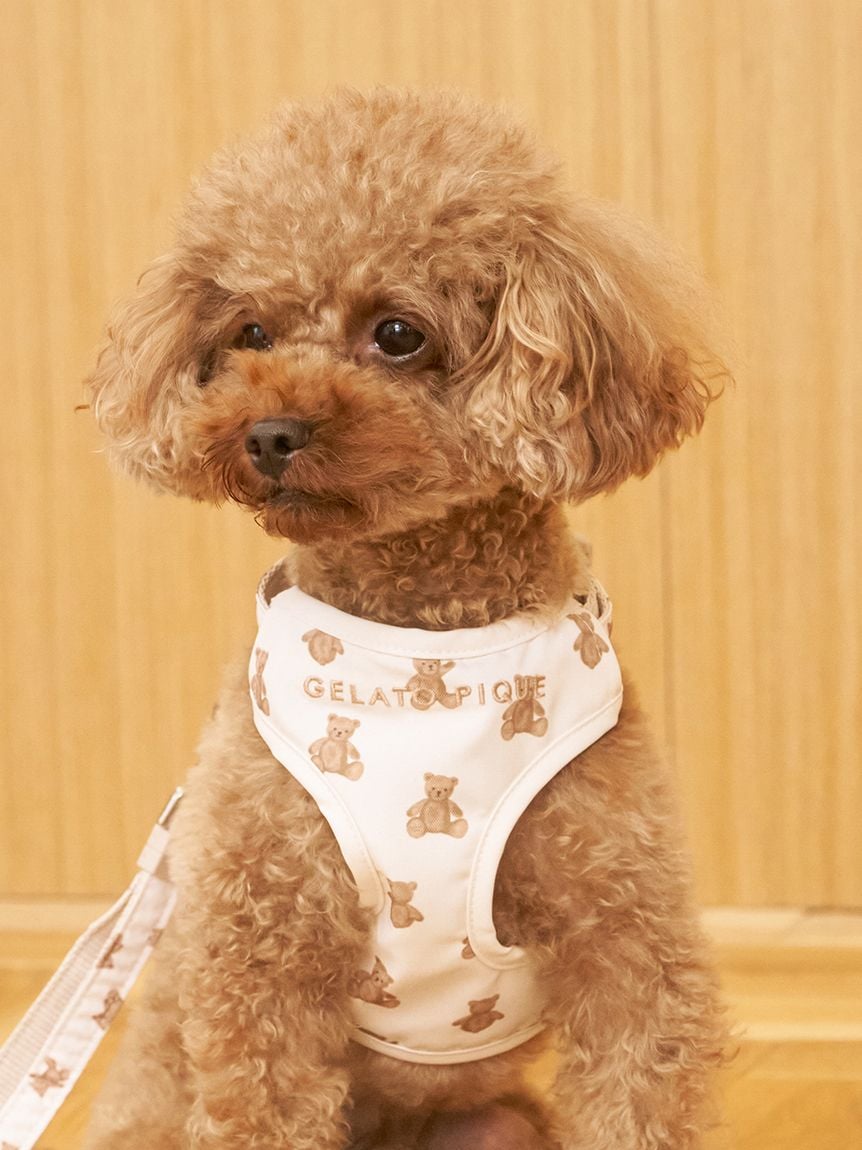 gelato pique（ジェラートピケ）【CAT&DOG】【販路限定商品】 モチーフ