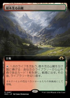 樹木茂る山麓/Wooded Foothills - カードラッシュ[MTG]
