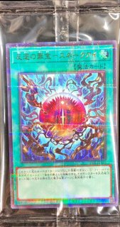 PREMIUM PACK 2025【-】{-}《未開封BOX》