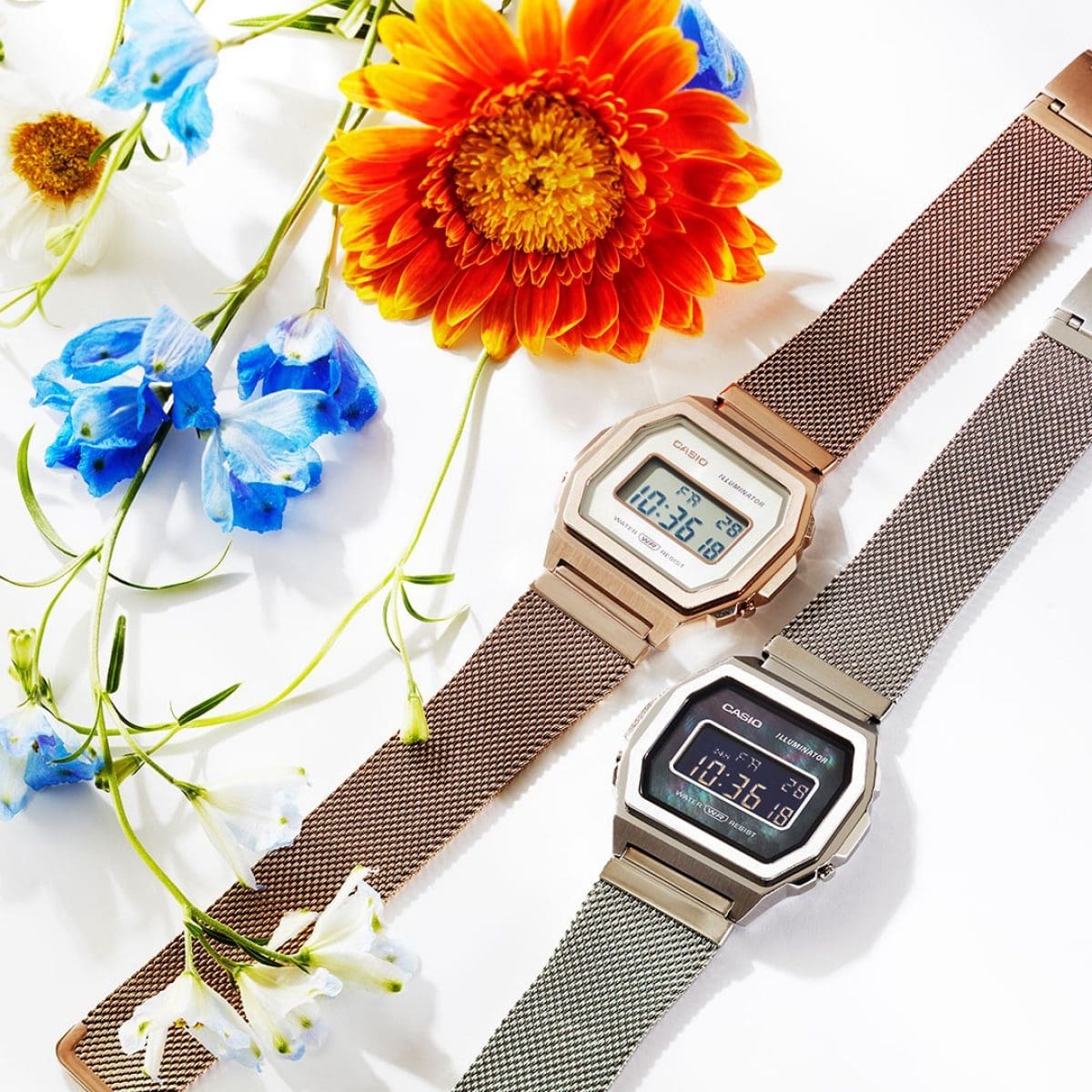 A1000M-1BJF×A1000MCG-9JF | CASIO