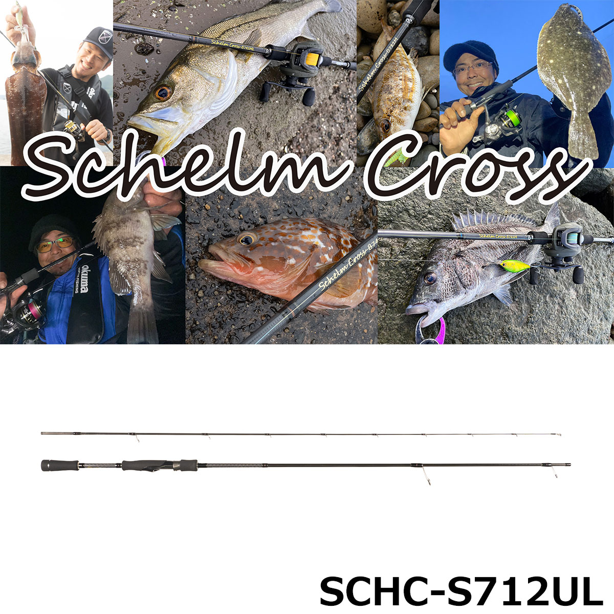 モーリス(VARIVAS)グラファイトワークス TFL-55RX-Ti SW Racing