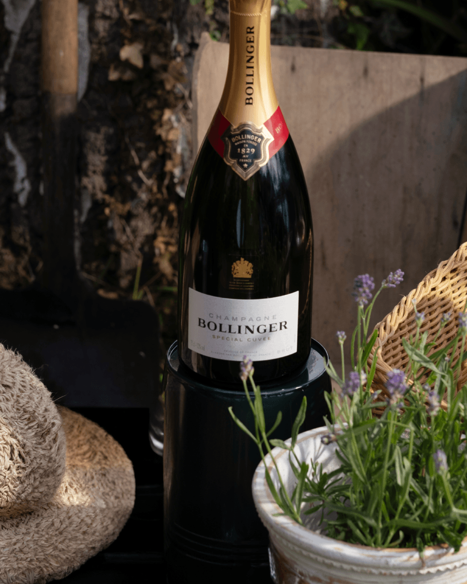 スペシャル・キュヴェ - 深みと繊細さ｜シャンパーニュ・ボランジェ