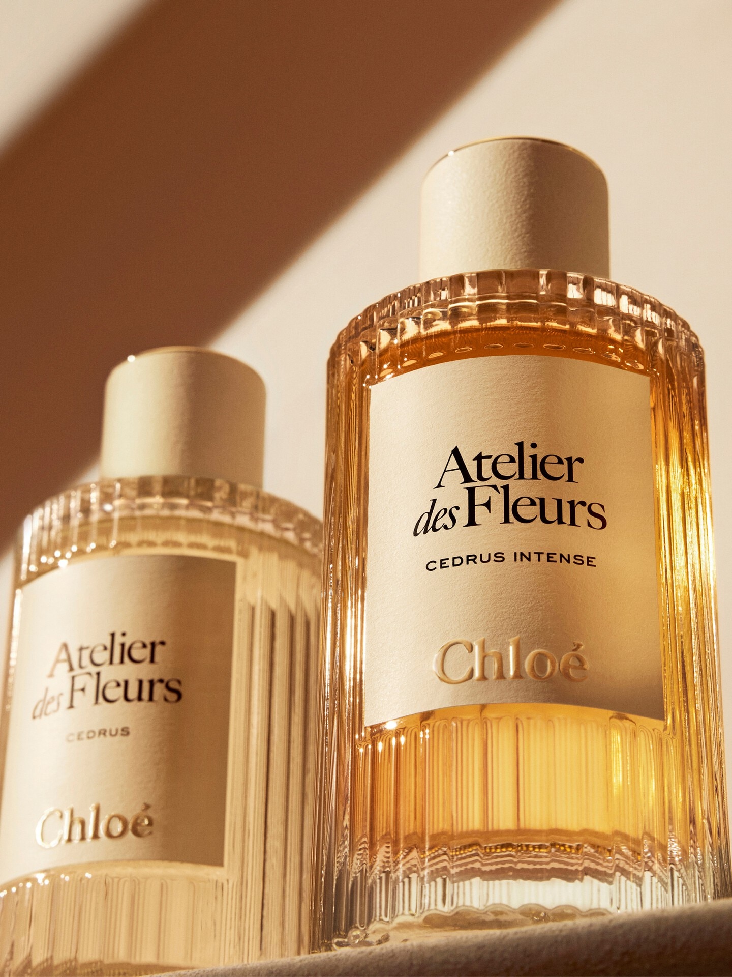 Atelier des Fleurs Cedrus Intense Eau de Parfum 1.7 fl oz - Chloé