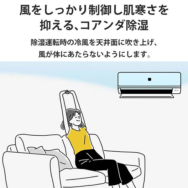 AY-S28DG-W シャープ ルームエアコン DGシリーズ 主に10畳用 ホワイト