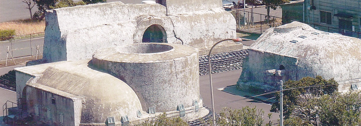 東京湾第三海堡 – NPO法人アクションおっぱま｜横須賀市追浜のまちづくり