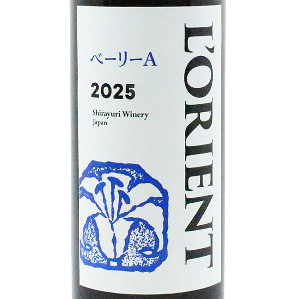 マスカット・ベーリーA 2025 / 白百合醸造(MUSCAT BAKKEY A 2025