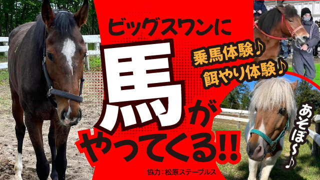 画像_1.jpg