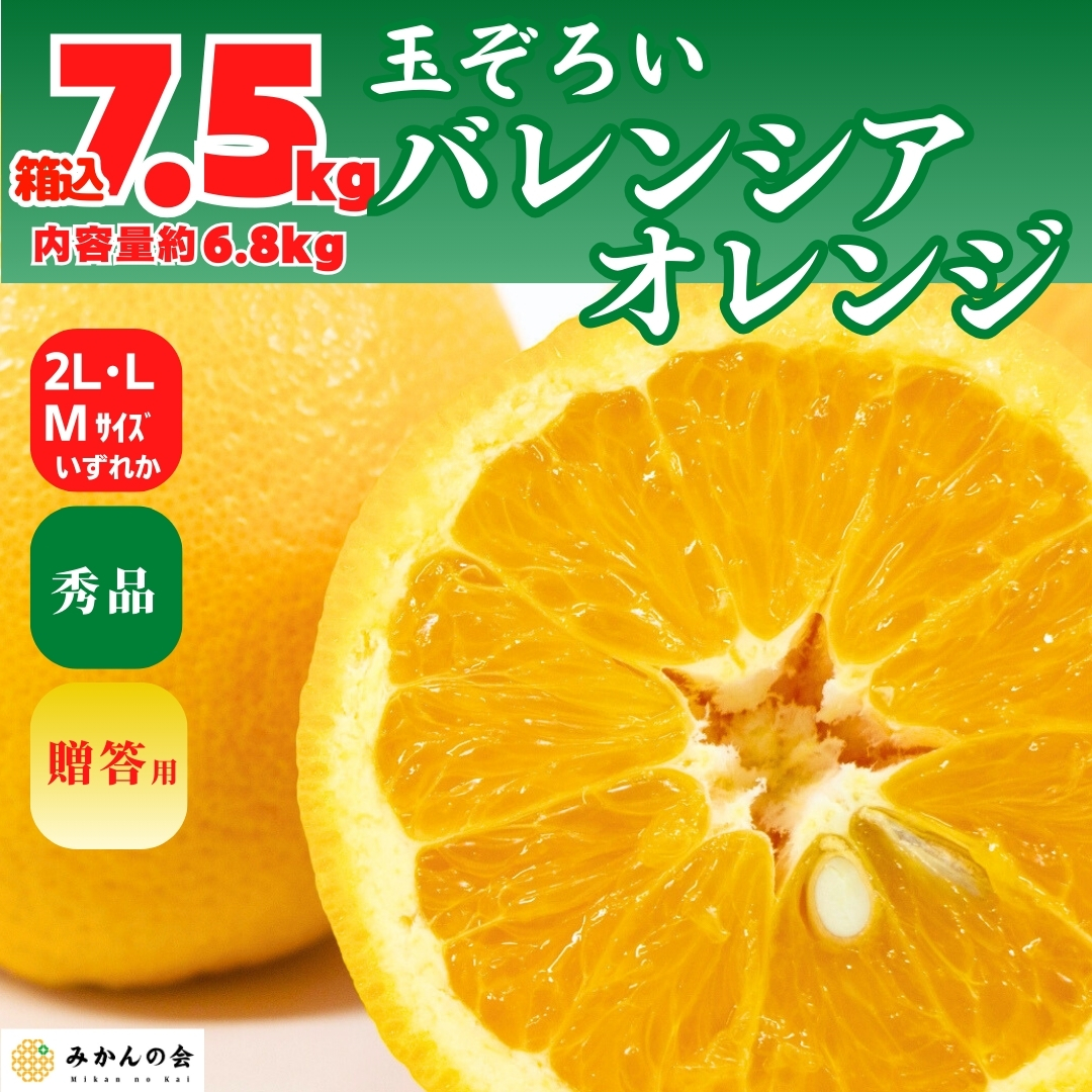 オレンジ 高級 夏 果物 ギフト みかん フルーツ バレンシアオレンジ