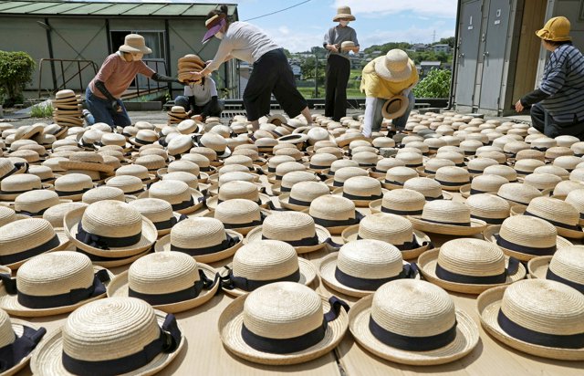夏待つ麦わら帽子の天日干し 天然素材で「日差し止め、熱逃がす