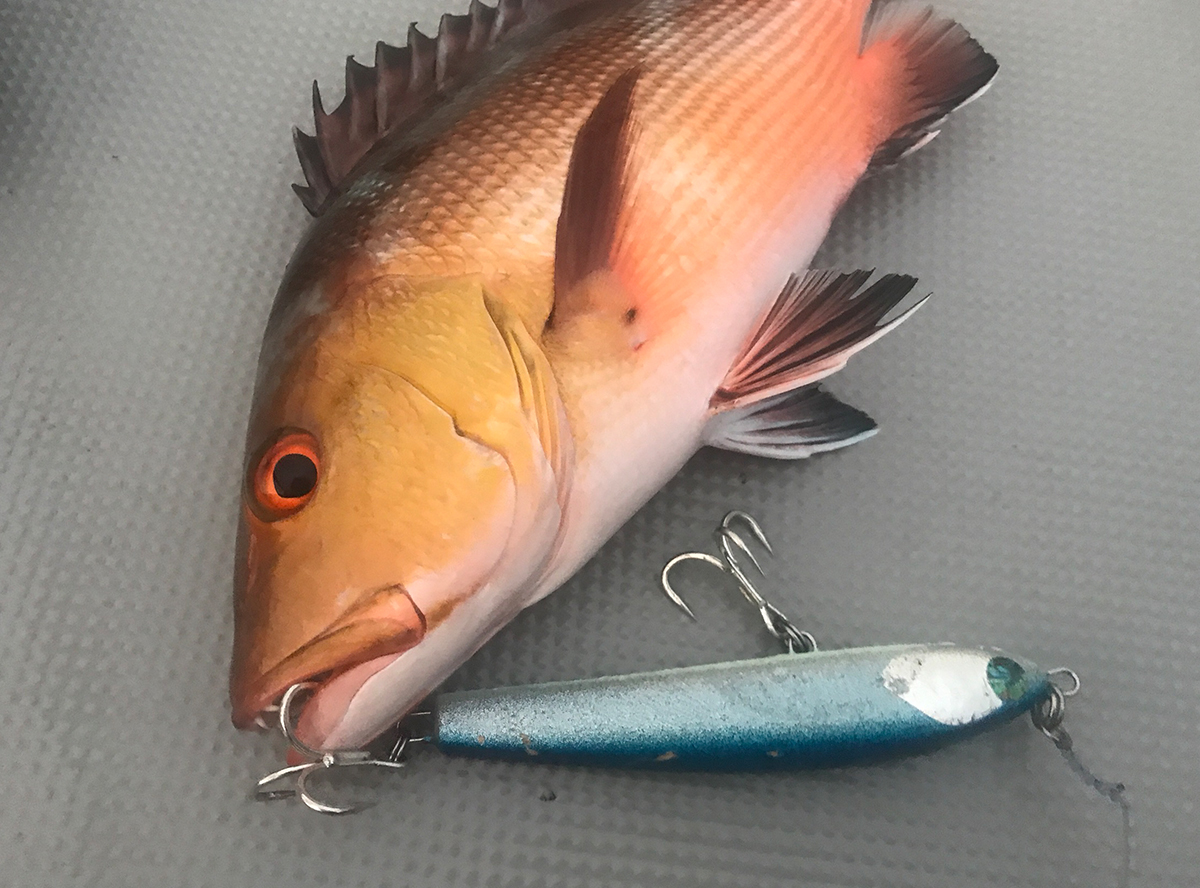 Fracflly | Atoll アトール