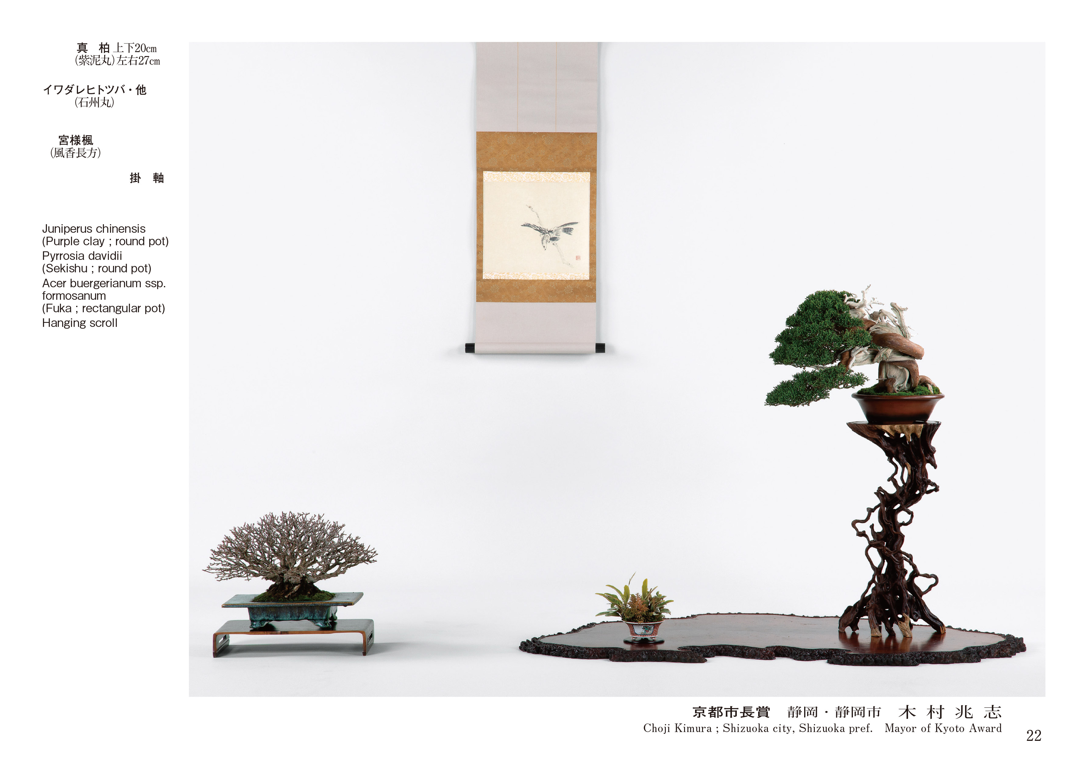 第48回 雅風展記念帖 | 盆栽、盆栽書籍、盆栽鉢の通販│近代出版
