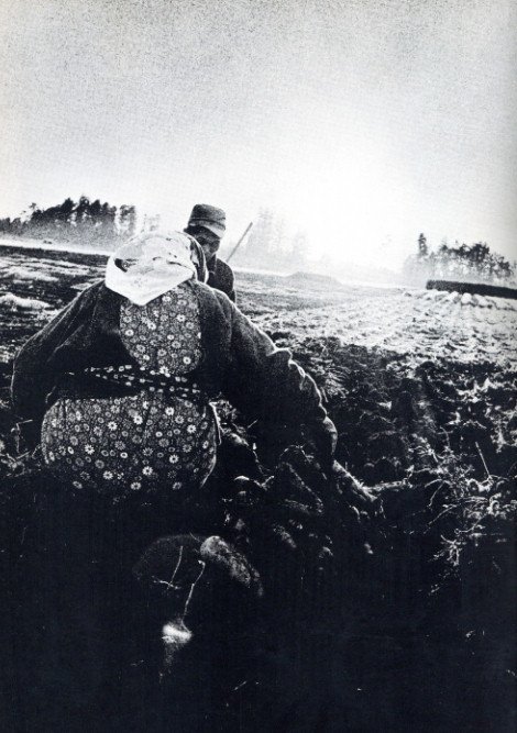 北井一夫写真集 三里塚 / 著：北井一夫 | 小宮山書店 KOMIYAMA TOKYO