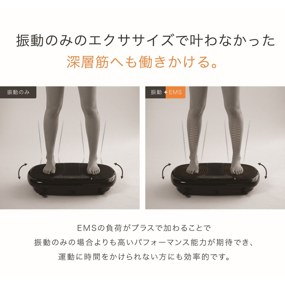 マイトレックス EMS振動マシーン W FIT PROの卸・通販 | ビューティ