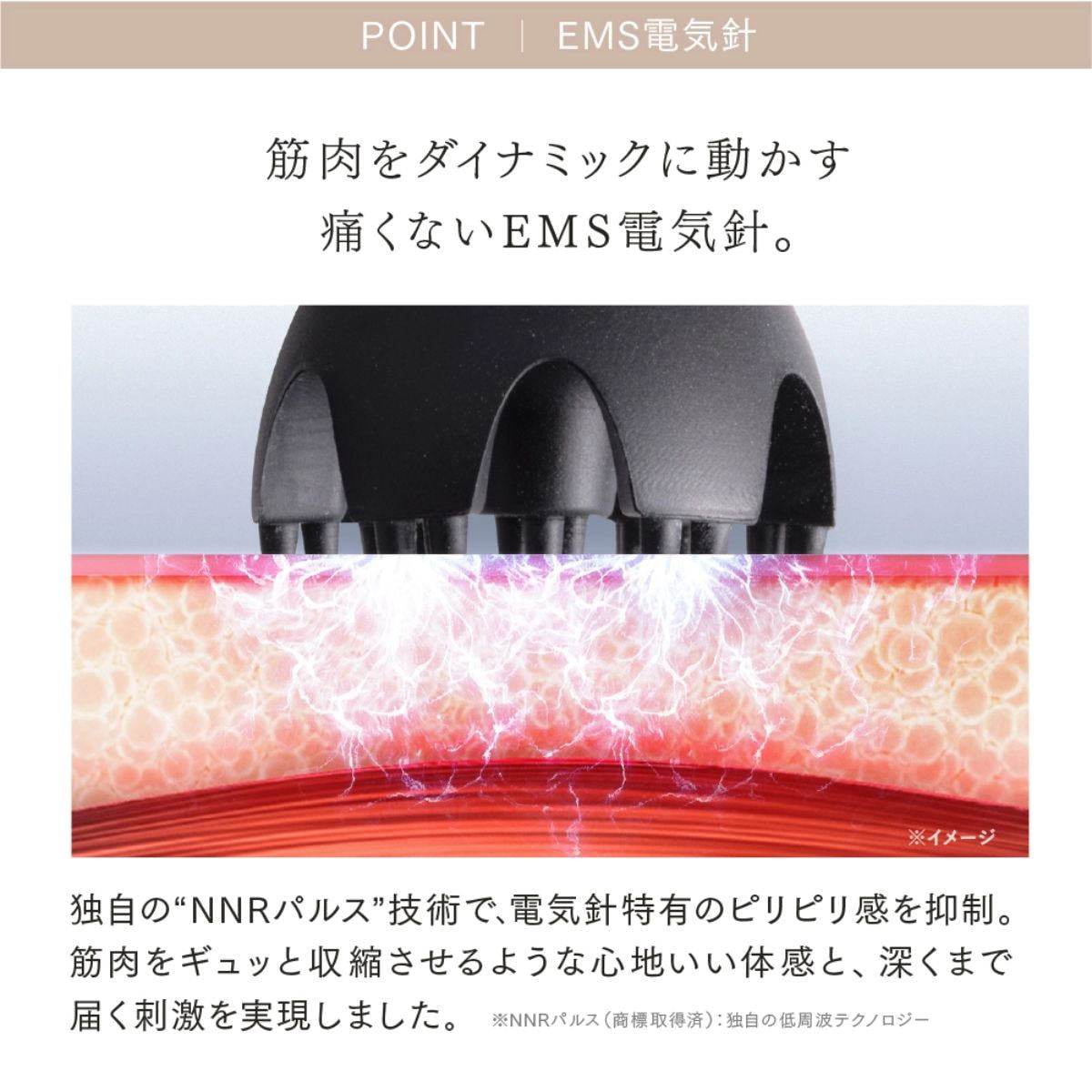 マイトレックス HEAD SPA DEEP X（ヘッドスパ ディープ エックス）の卸