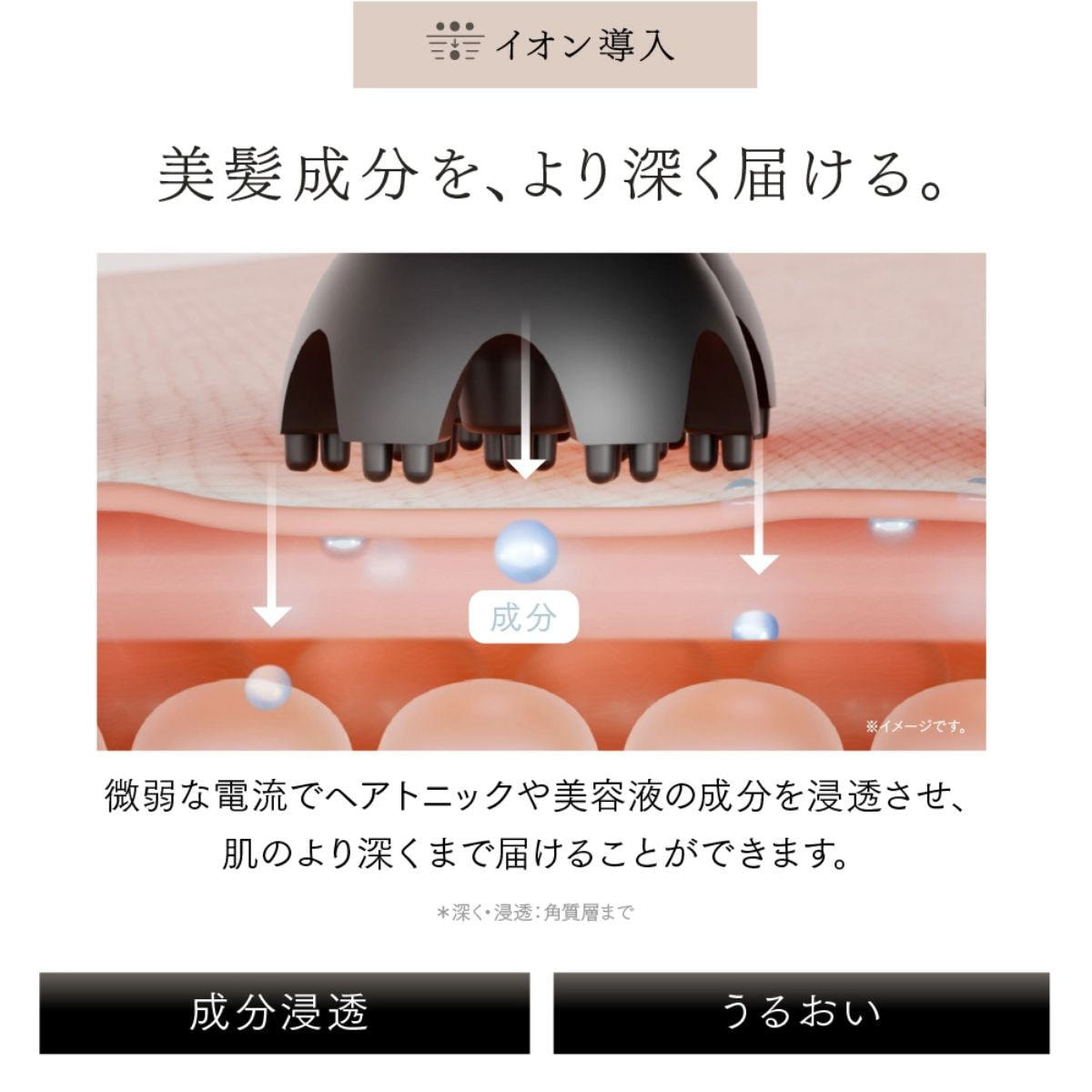 マイトレックス HEAD SPA DEEP X（ヘッドスパ ディープ エックス）の卸