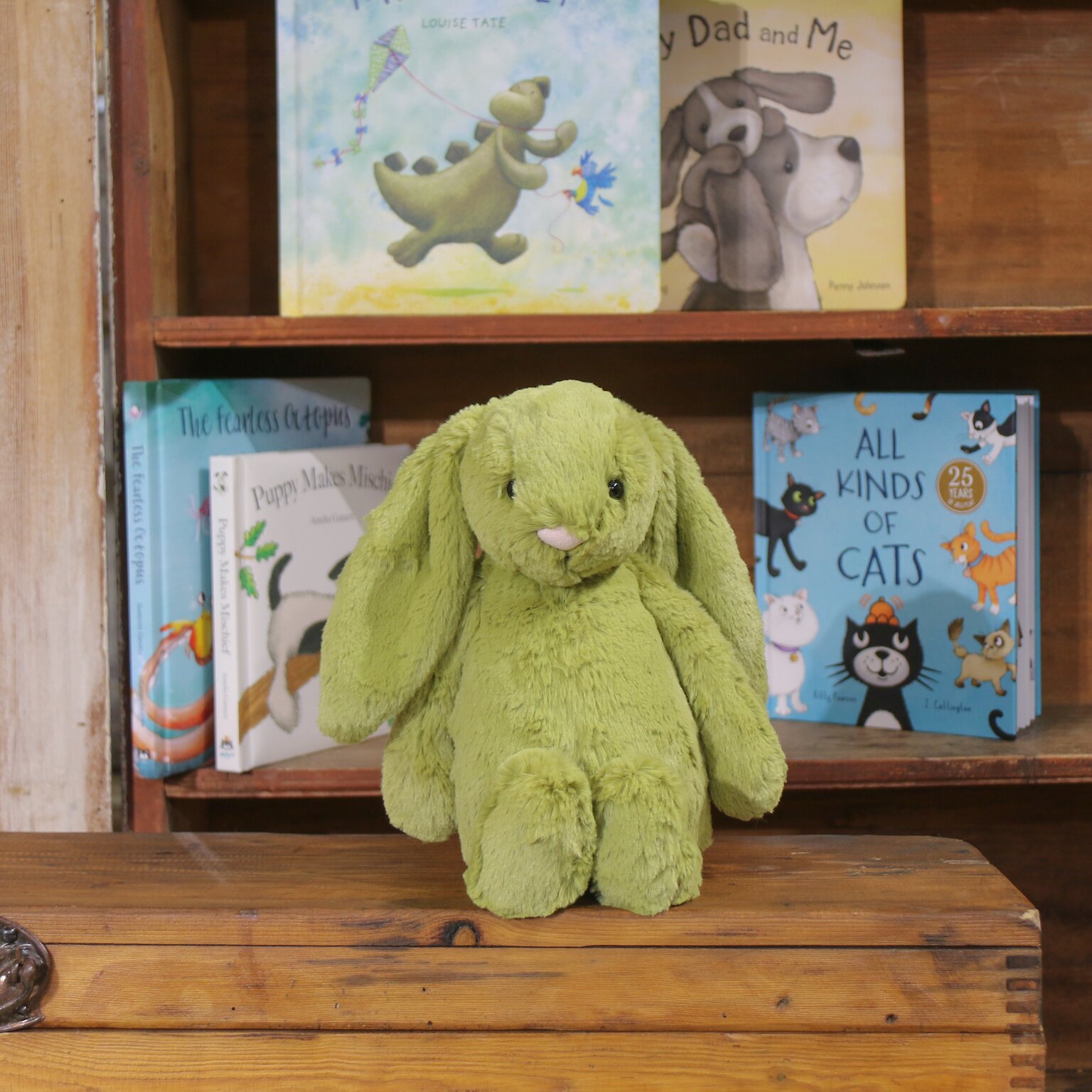 Bashful Moss Bunny - Beetham Nurseries