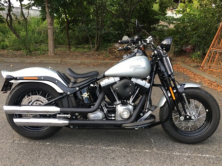 車種別特集 ハーレーダビッドソン FXSTS,FLSTS スプリンガーソフテイル