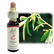 バッチフラワーレメディ No.38 ウィロー 10ml | びんちょうたんコム