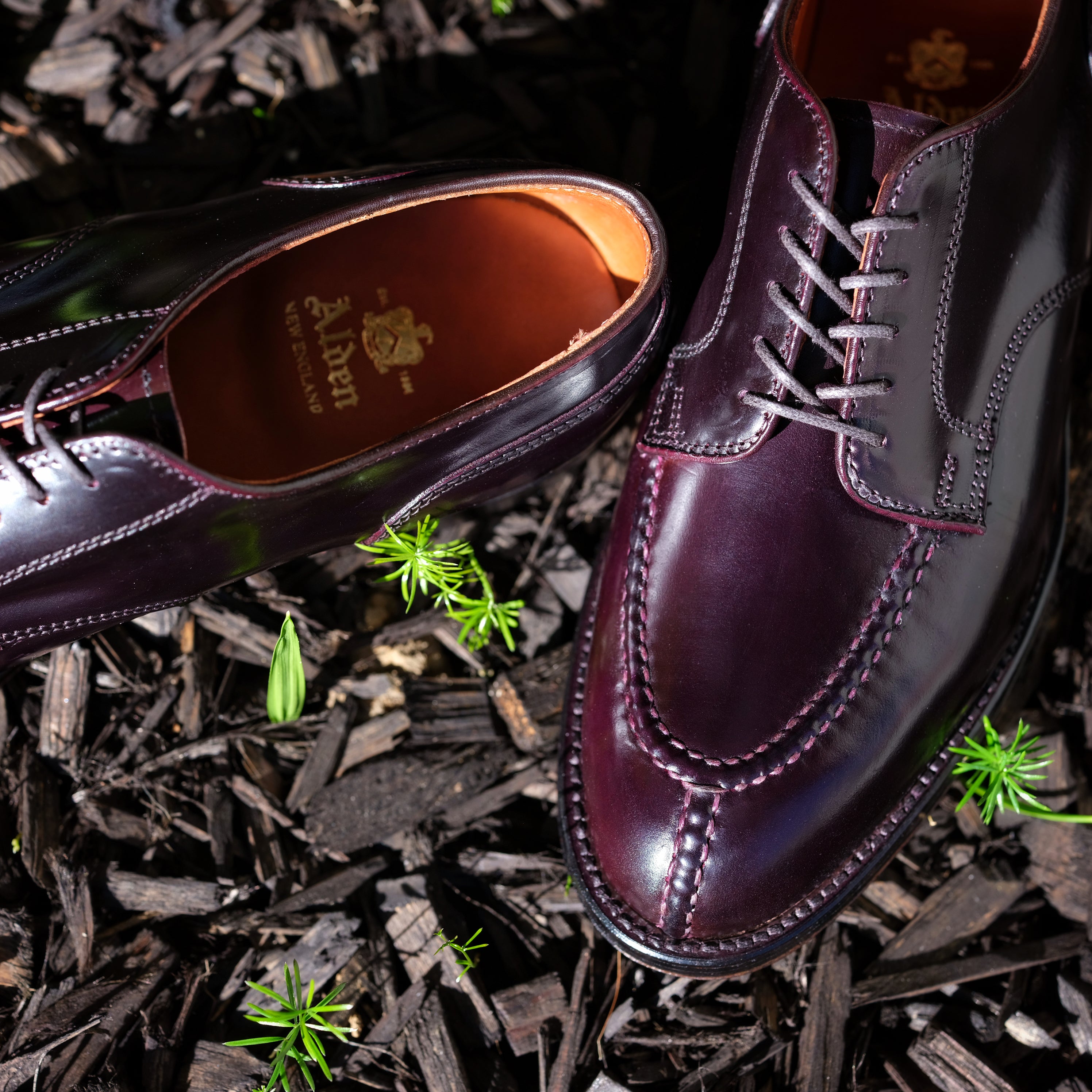 Alden Norwegian Split Toe Blucher – BROGUE