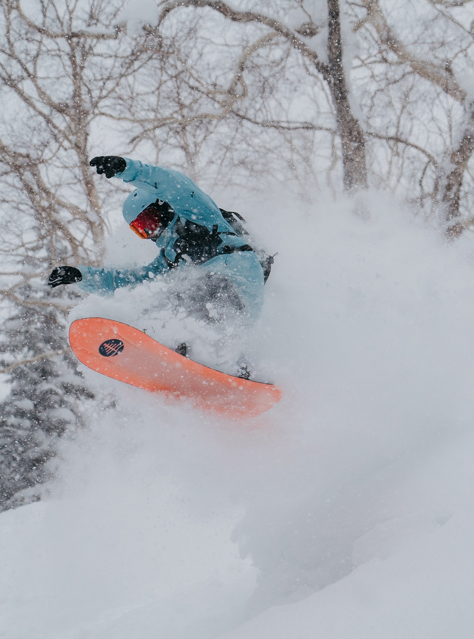 Family Tree 3D Deep Daze Snowboard | Burton.com Winter 2023 US