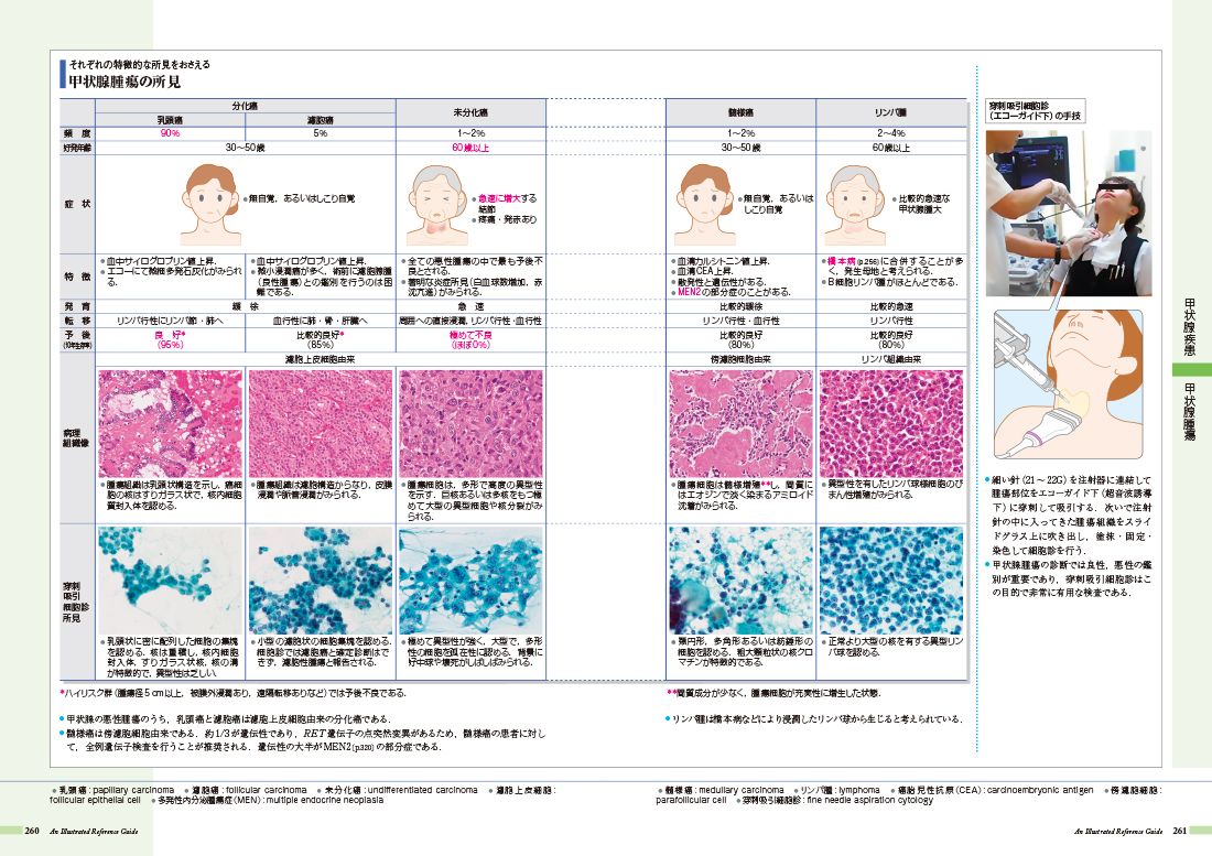 病気がみえる - チーム医療を担う医療人共通のテキスト