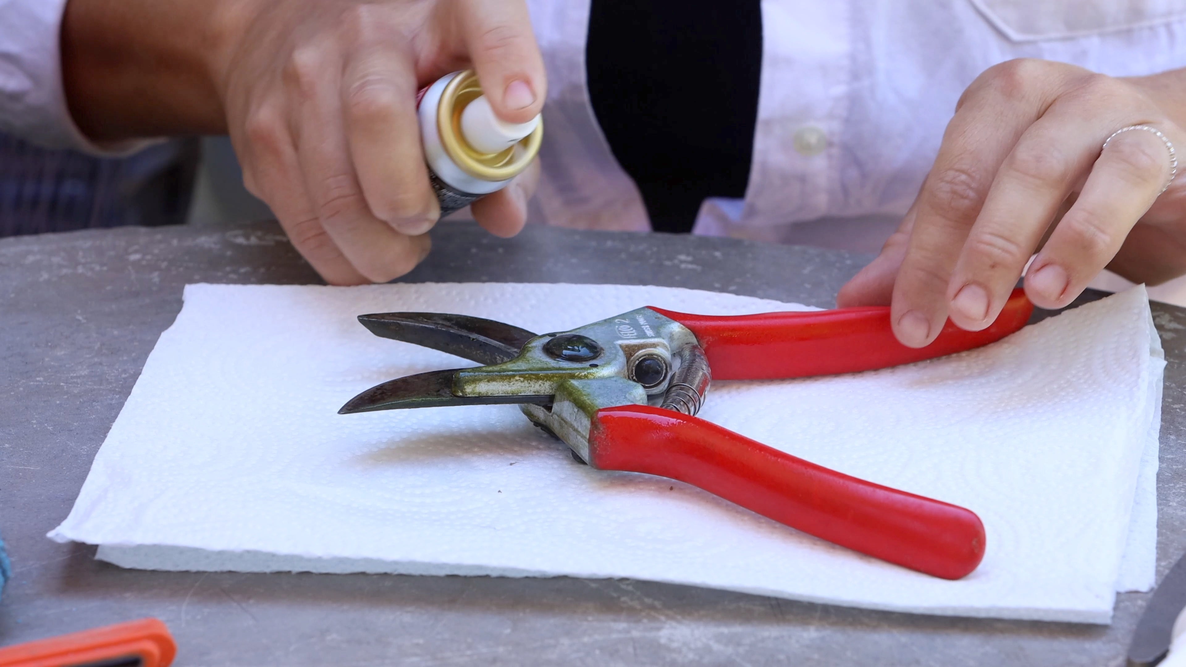 Felco 980 Lubricating Spray – Garden Answer