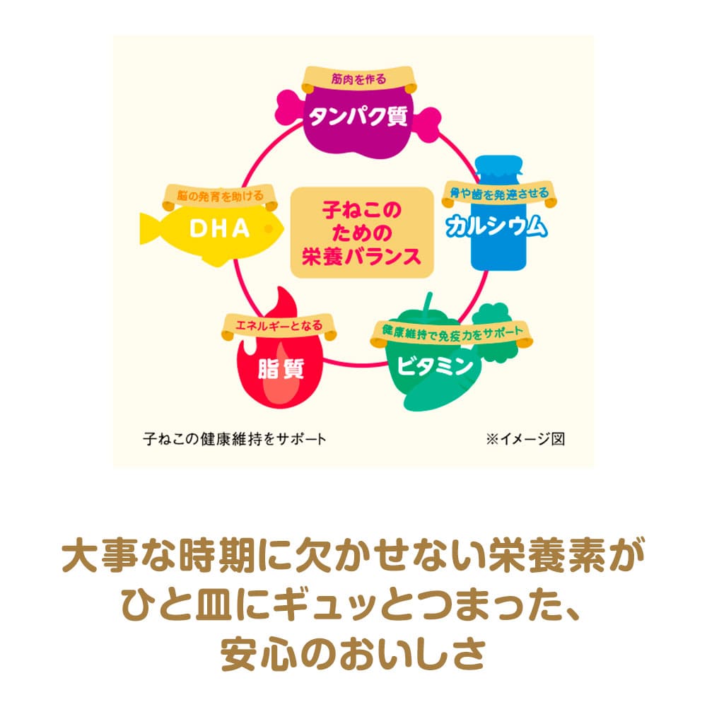 銀のスプーン缶健康に育つ子ねこ用お魚とささみミックス70g｜ユニ