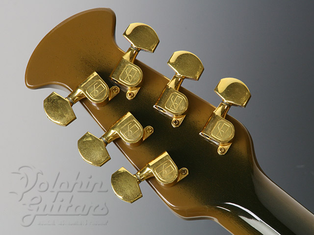 OVATION 5851-9 Gold Starred ＜Limited Edition＞|ドルフィンギターズ