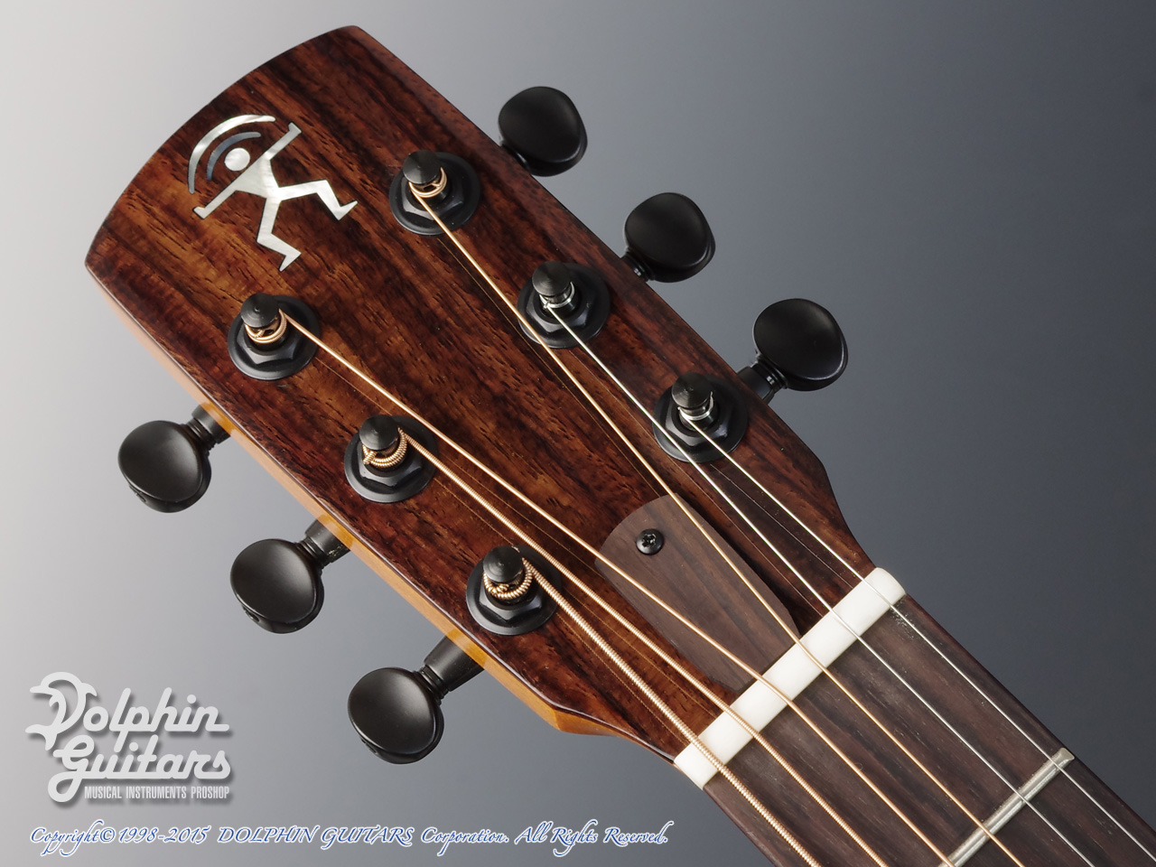 ANueNue Bird Guitar Series aNN-M12|ドルフィンギターズ