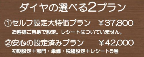 カシオ TE-2500-15S ダイヤ事務機