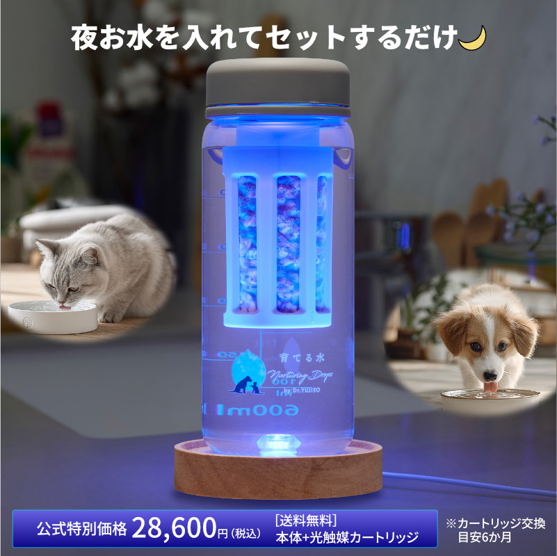 ☆次回再販 3月15日（日）10:00〜予定☆】※事前予約はお電話のみ