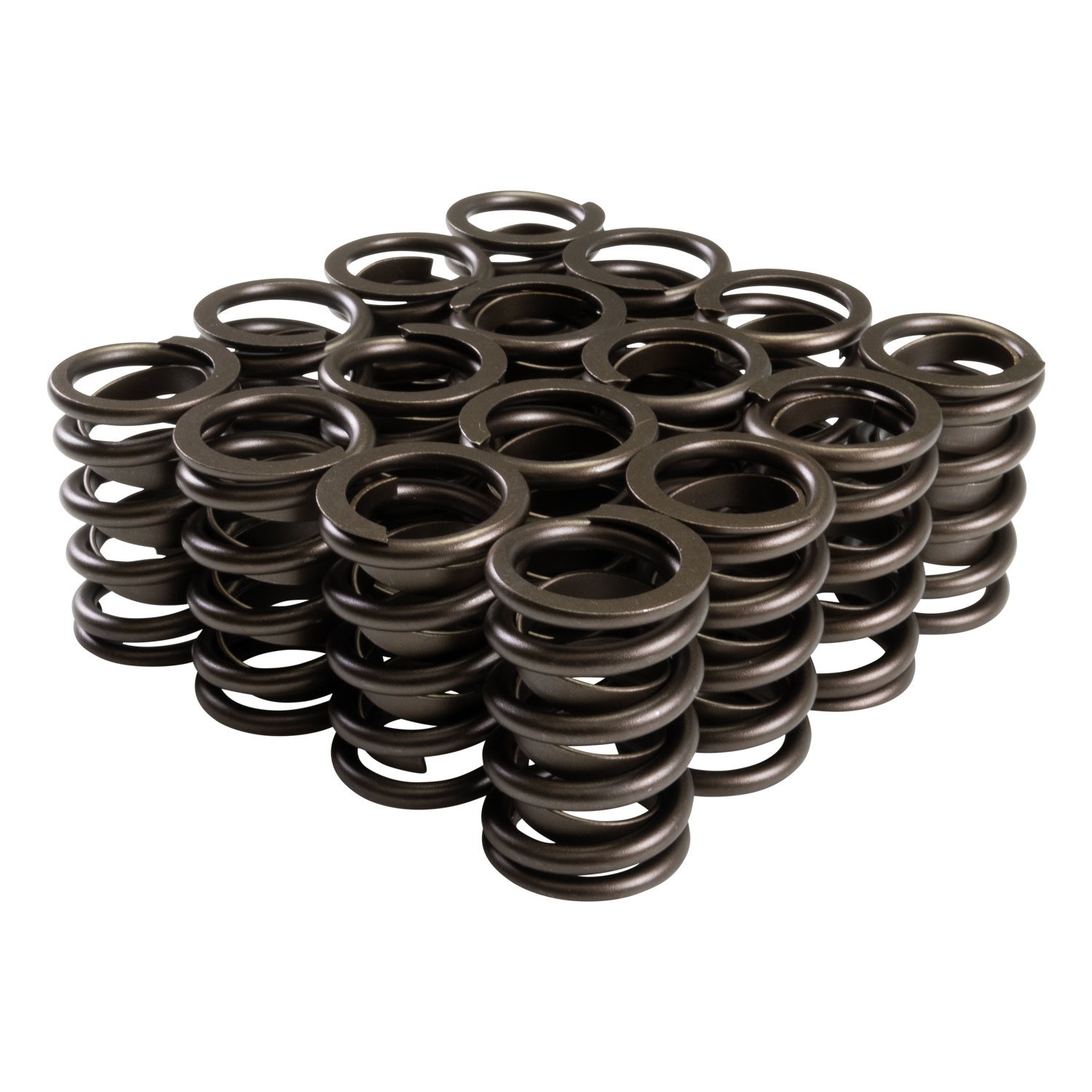 Single Valve Spring with Damper, 1.440 OD, 1.750 IH, .600 Lift