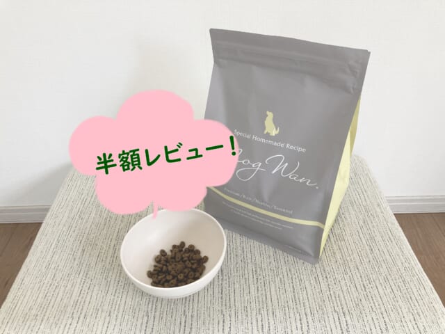 2月最新】モグワンを初回半額でお試し購入できる最安キャンペーンはここ！