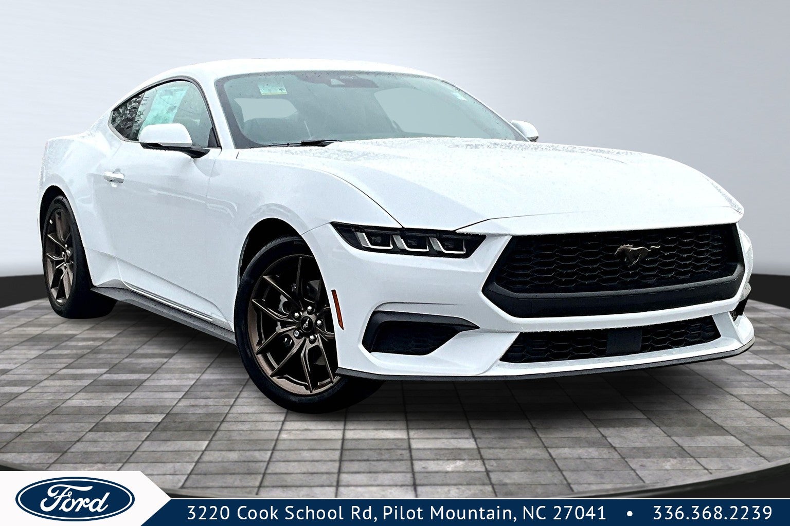 2025 Ford Mustang EcoBoost Premium Pilot Mountain NC | Mount Airy
