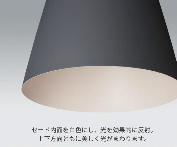 XLGB1506 CE1(LGB15397+LLD4000L CE1)パナソニック製ペンダントライト